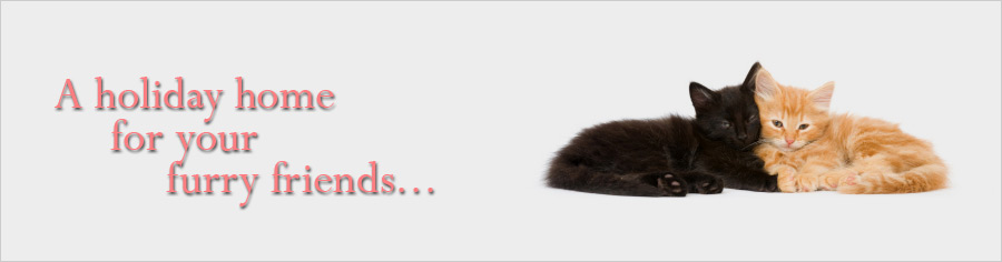 A holiday home for your furry friends...